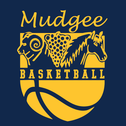Mudgee Basketball